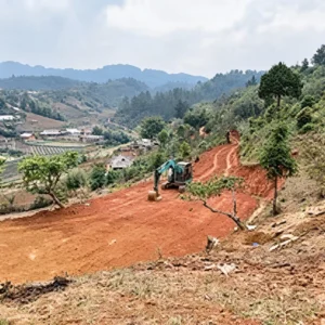 Land Clearing Machine & Manpower $185/h